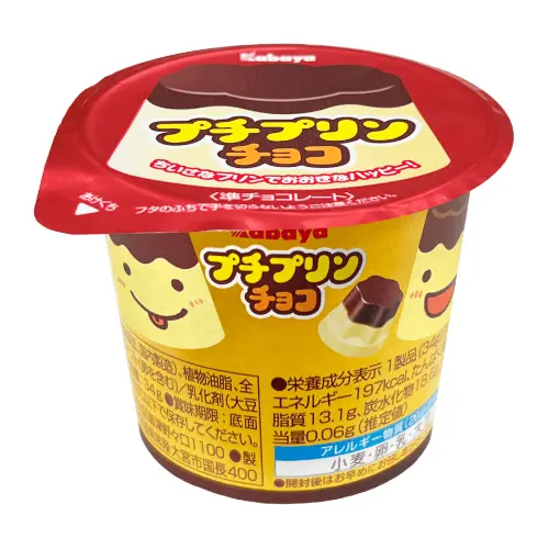 Petite Pudding Chocolate