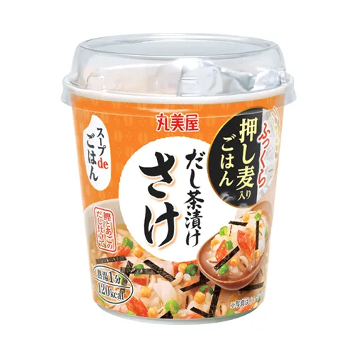 Soup De Gohan Salmon Chazuke
