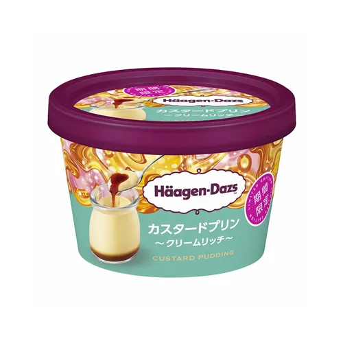 Mini Cup Custard Pudding Cream Rich