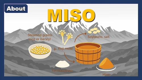 about-miso-250804